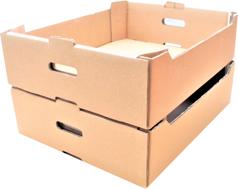 10 uds de caja de verduras 600 x 400 x 170 mm - K17 grande